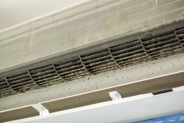 Best Air Vent Cleaning Services  in Chevy Chase View, MD