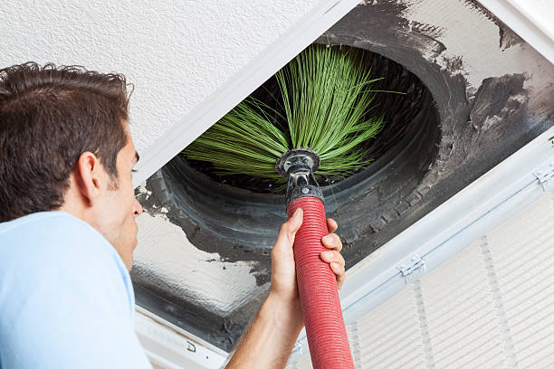 Best Affordable Air Duct Cleaning  in Chevy Chase View, MD